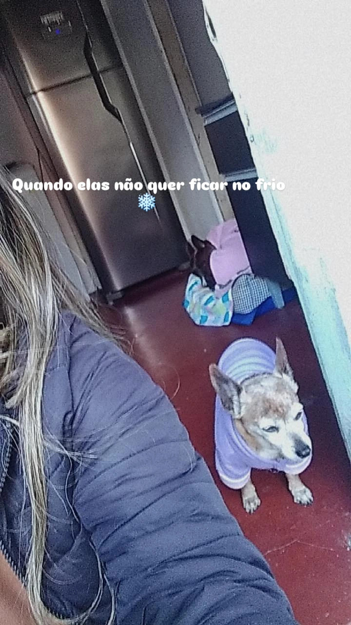 Propriedade de Anfitricão