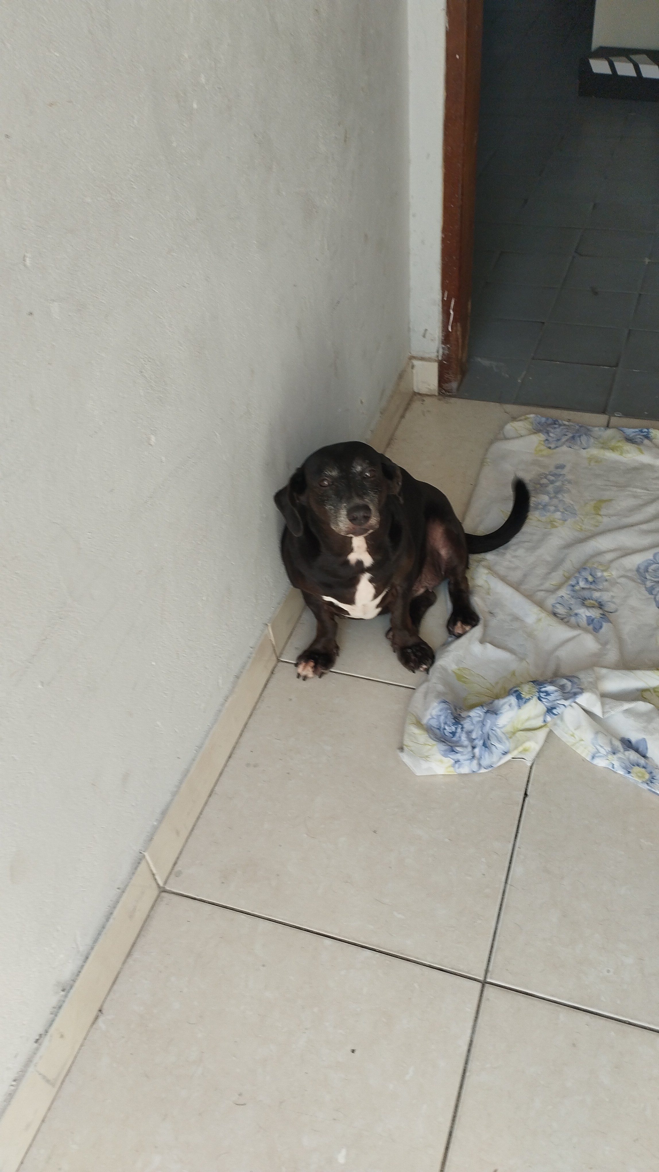 Propriedade de Anfitricão