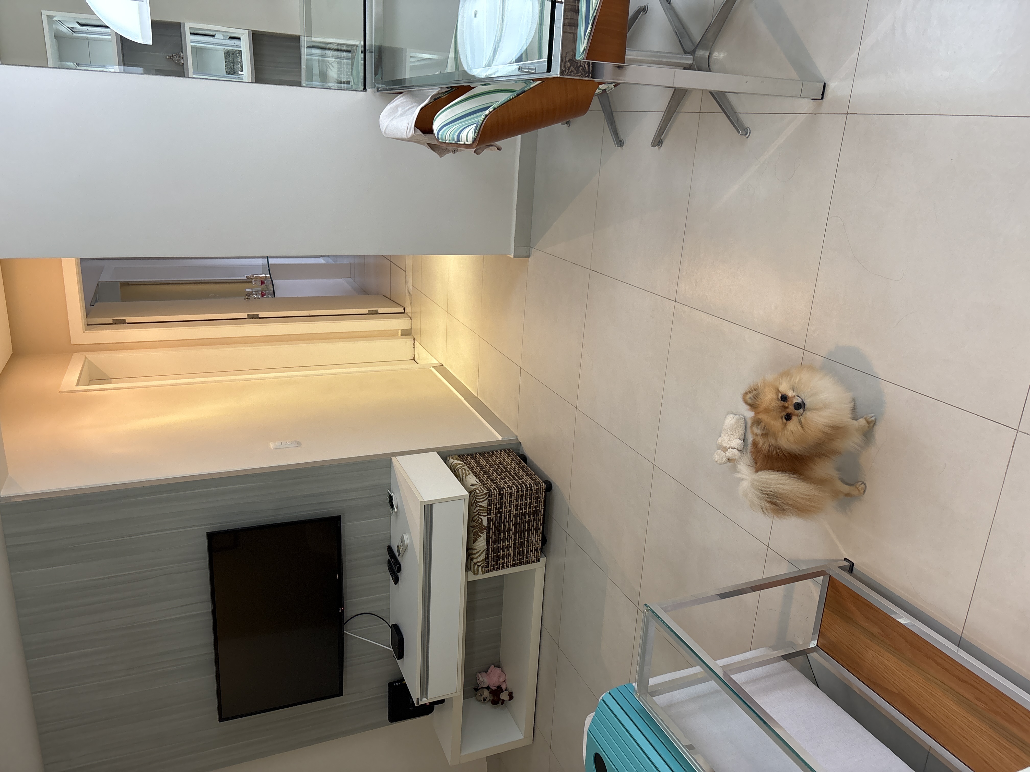 Propriedade de Anfitricão