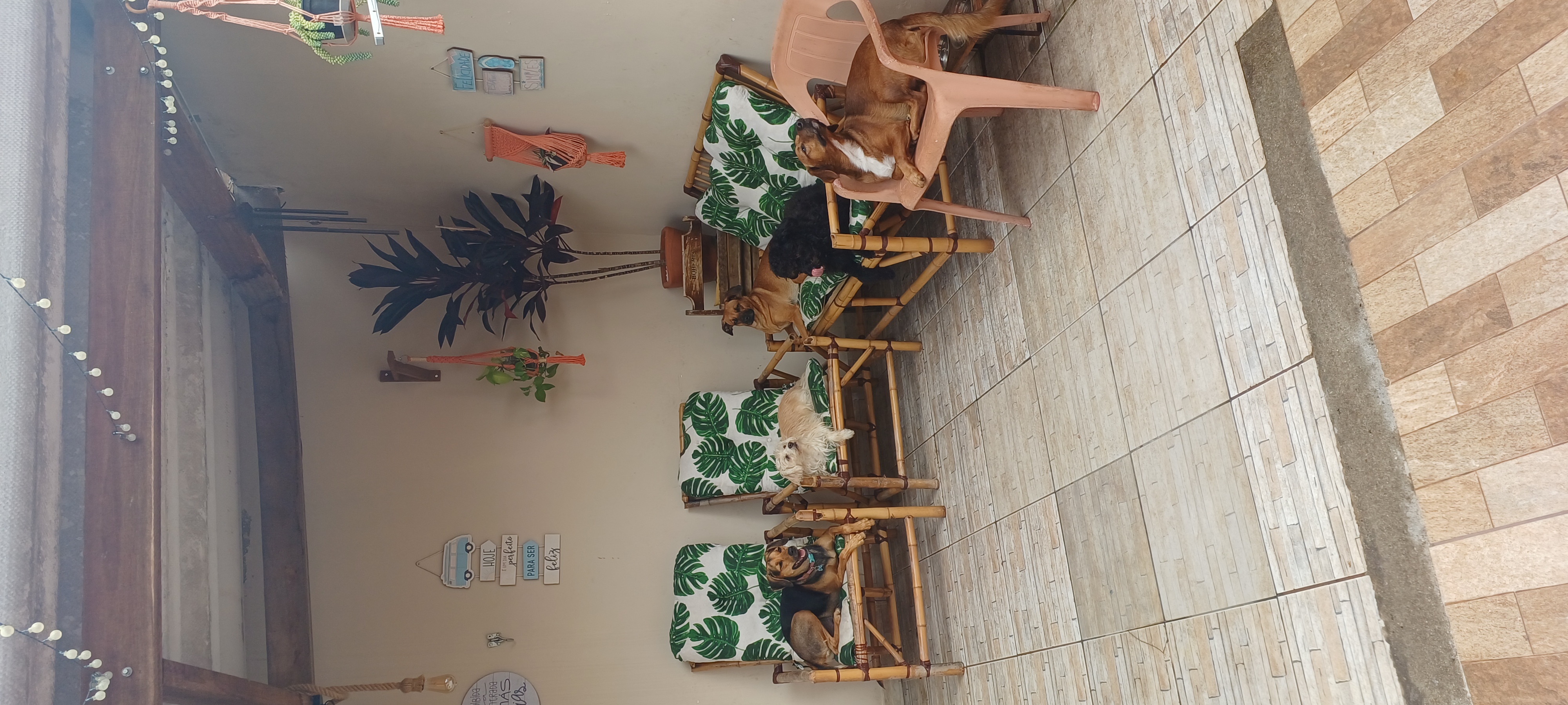 Propriedade de Anfitricão